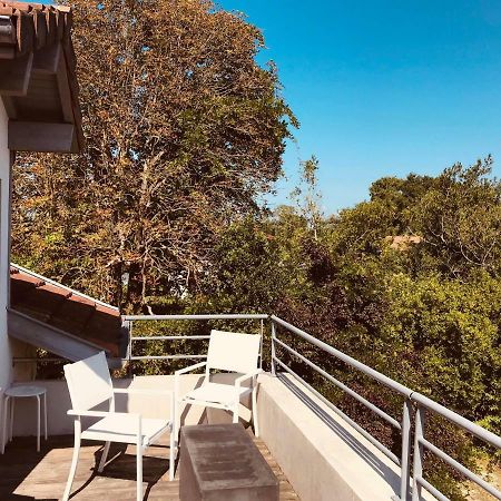 Saint-Pierre-dʼIrube Hotel La Villa מראה חיצוני תמונה