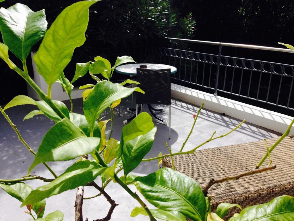 Saint-Pierre-dʼIrube Hotel La Villa מראה חיצוני תמונה